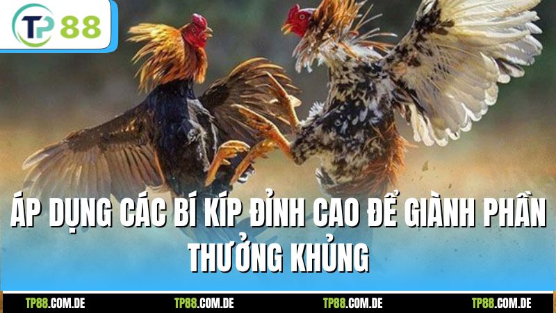 Áp dụng các bí kíp đỉnh cao để giành phần thưởng khủng