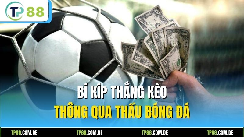 Bí kíp thắng kèo thông qua thầu bóng đá
