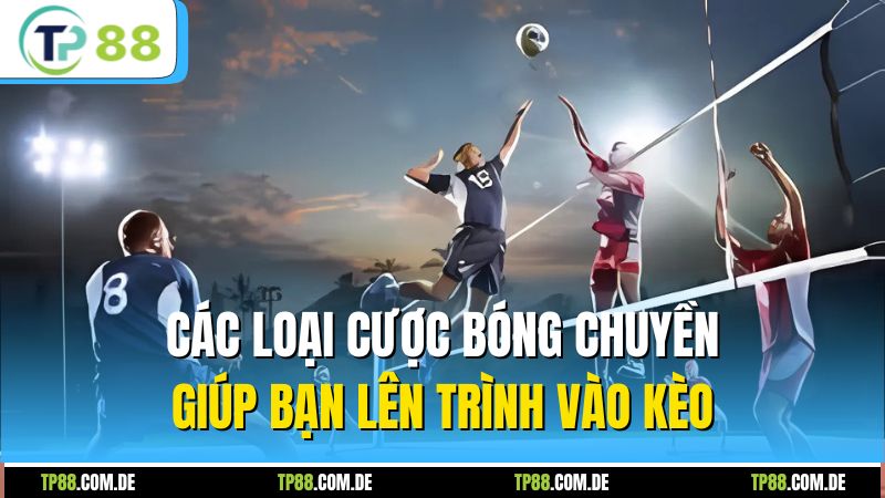 Các loại cược bóng chuyền giúp bạn lên trình vào kèo