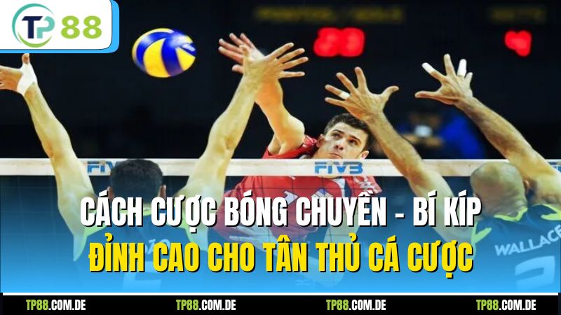 Cách Cược Bóng Chuyền - Bí Kíp Đỉnh Cao Cho Tân Thủ Cá Cược