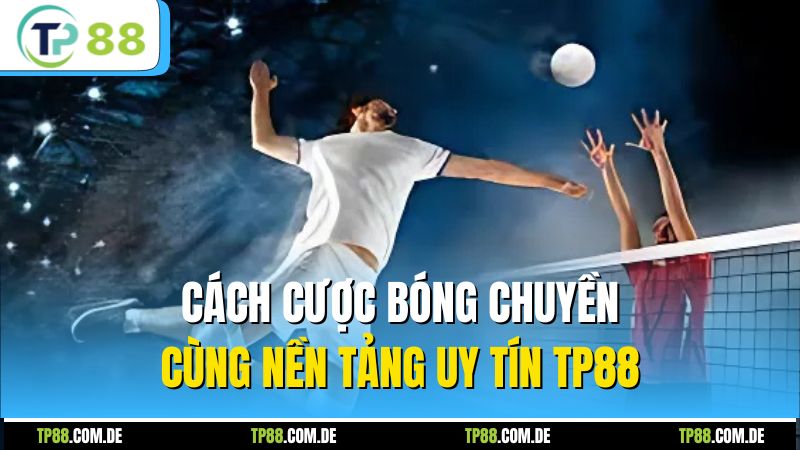 Cách cược bóng chuyền cùng nền tảng uy tín TP88