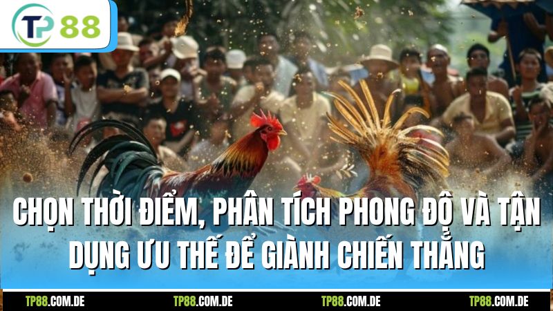 Chọn thời điểm, phân tích phong độ và tận dụng ưu thế để giành chiến thắng