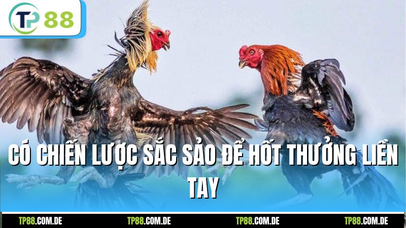 Có chiến lược sắc sảo để hốt thưởng liền tay