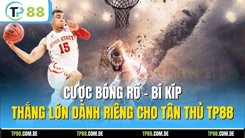 Cược Bóng Rổ - Bí Kíp Thắng Lớn Dành Riêng Cho Tân Thủ TP88