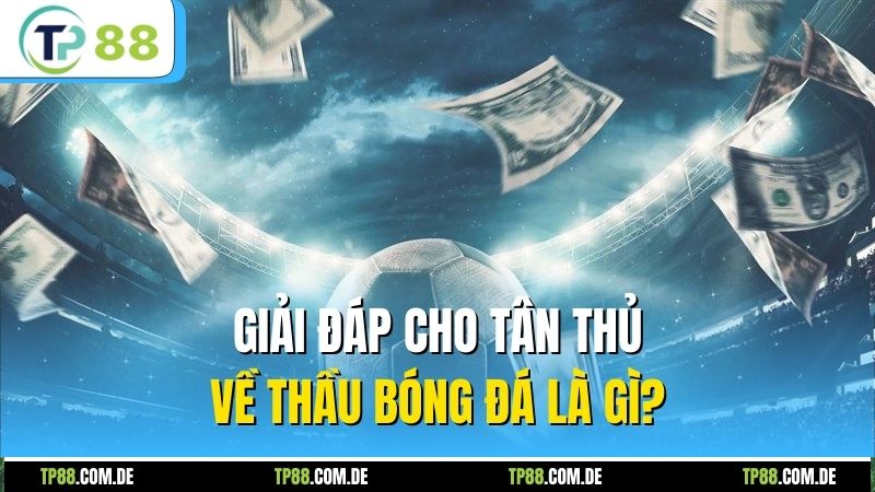 Giải đáp cho tân thủ về thầu bóng đá là gì?