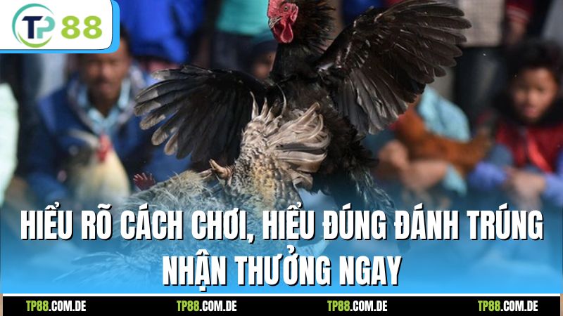 Hiểu rõ cách chơi, hiểu đúng đánh trúng nhận thưởng ngay