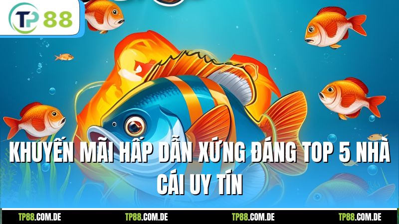 Khuyến mãi hấp dẫn xứng đáng top 5 nhà cái uy tín