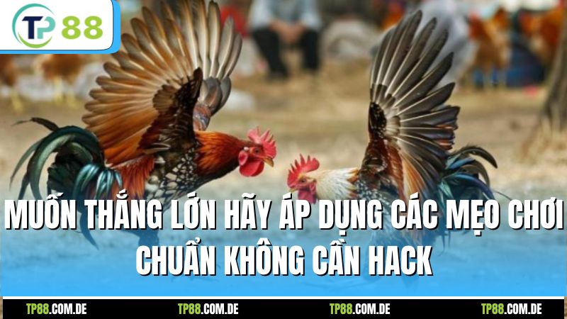 Muốn thắng lớn hãy áp dụng các mẹo chơi chuẩn không cần hack
