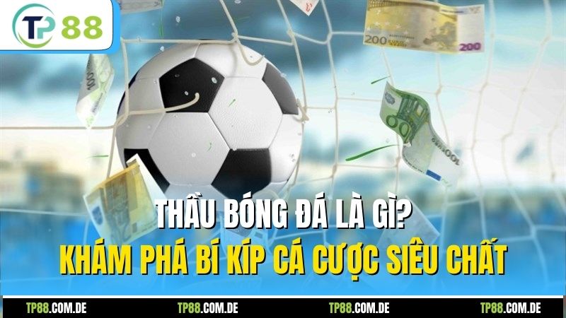 Thầu Bóng Đá Là Gì? Khám Phá Bí Kíp Cá Cược Siêu Chất