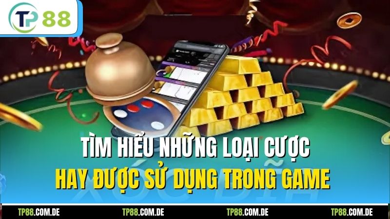 Tìm hiểu những loại cược hay được sử dụng trong game